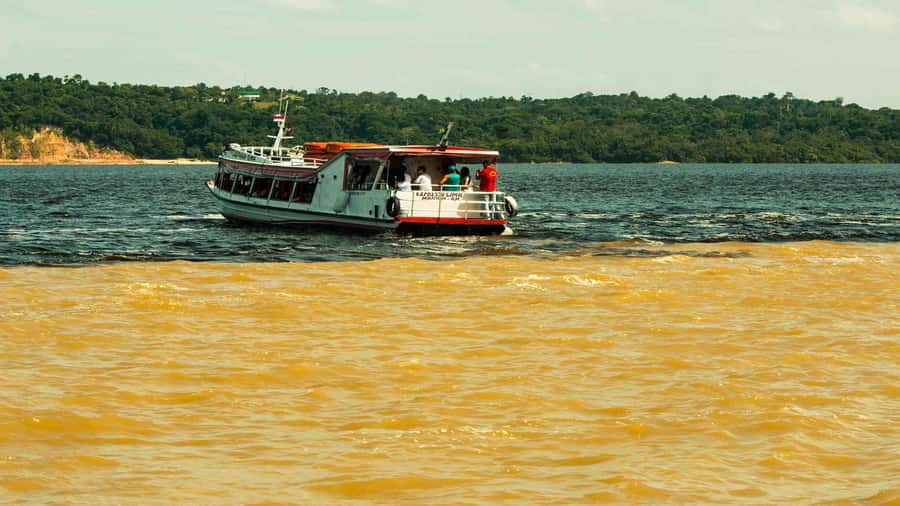 Manaus: Meeting of the Waters & Pink Dolphin Tour with Lunch - Price and Value for About $75: What You’re Really Paying For