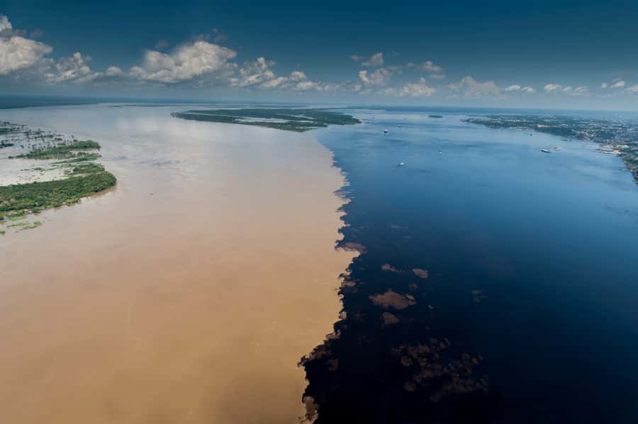 Manaus: Meeting of the Waters & Pink Dolphin Tour with Lunch - The Meeting of the Waters: Watching Two Rivers Behave Like They Disagree