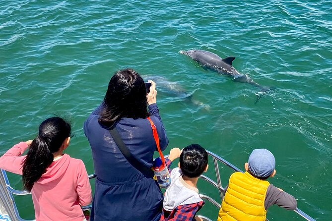 Mandurah Dolphin Cruise and Views - Creery Wetlands Nature Reserve: birdlife you can actually track