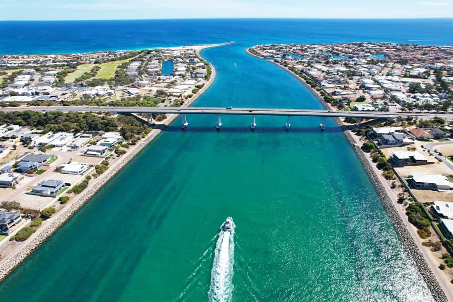 Mandurah: Dolphin & Giant Sightseeing Cruise - Who This Cruise Suits (and Who Should Think Twice)