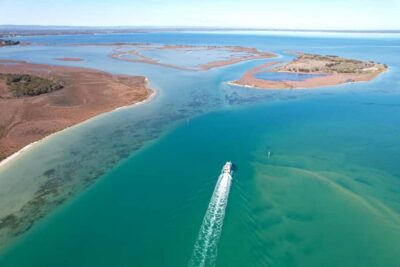 Mandurah: Dolphin & Giant Sightseeing Cruise - SuperCat Comfort and How the 2-Hour Pace Works
