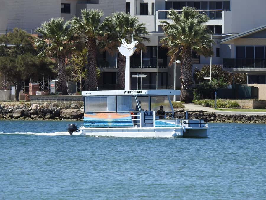 Mandurah: Sightseeing Dolphin Cruise with Tour Guide - Key things to know before you board