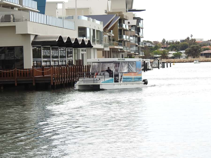 Mandurah: Sightseeing Dolphin Cruise with Tour Guide - Entering Mandurah’s waterways from the water in 1 hour