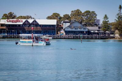 Mandurah: Sightseeing Dolphin Cruise with Tour Guide - The check-in spot: Blue Manna Boat Hire and how not to waste time