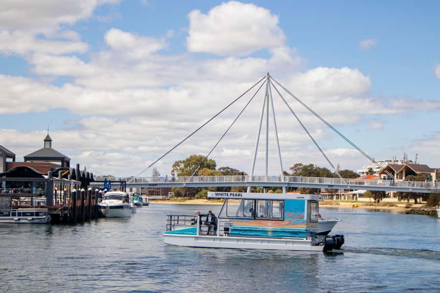Mandurah: Sightseeing Dolphin Cruise with Tour Guide - The guided wildlife search: dolphins plus black swans and cormorants