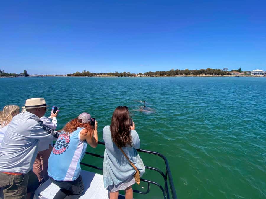 Mandurah: Sightseeing Dolphin Cruise with Tour Guide - What the best dolphin-cruise moments feel like (and what to look for)