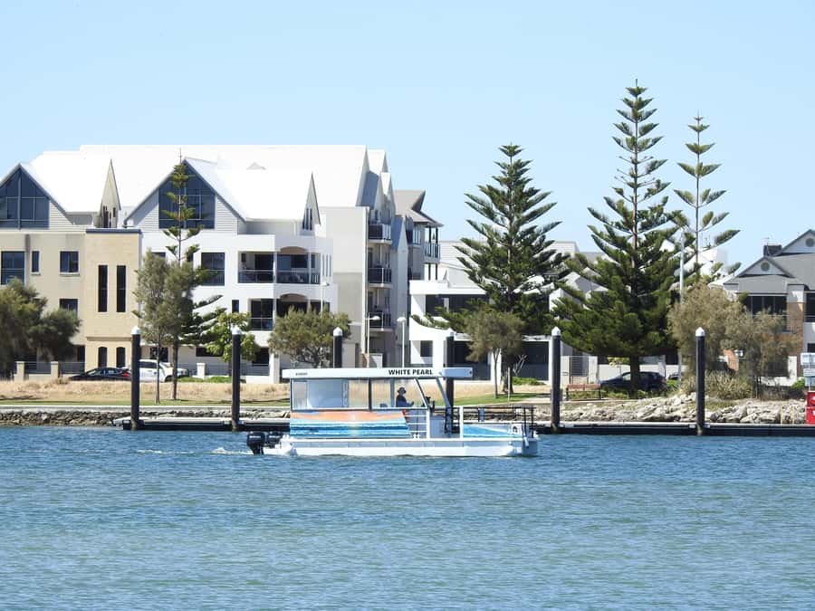 Mandurah: Sightseeing Dolphin Cruise with Tour Guide - Comfort, group vibe, and what the boat trip is like