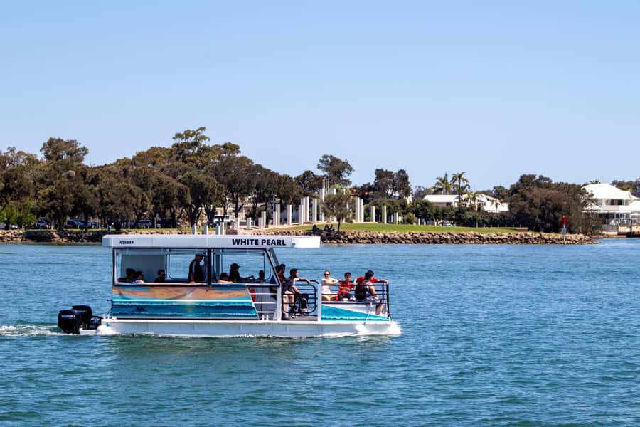 Mandurah: Sightseeing Dolphin Cruise with Tour Guide - Price reality: is $26 good value for a 1-hour cruise?