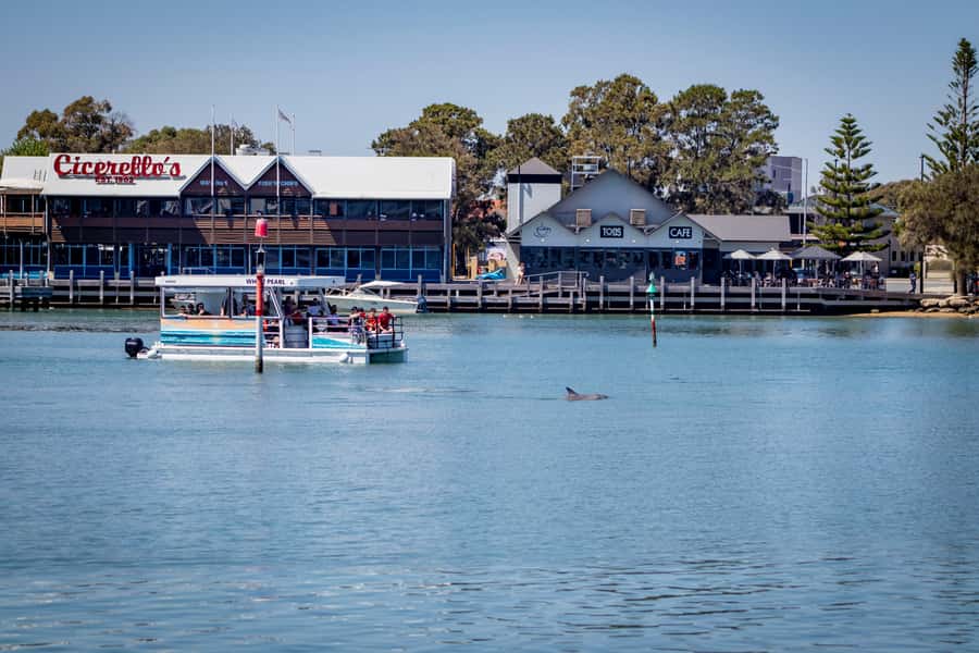Mandurah: Sightseeing Dolphin Cruise with Tour Guide - The check-in spot: Blue Manna Boat Hire and how not to waste time