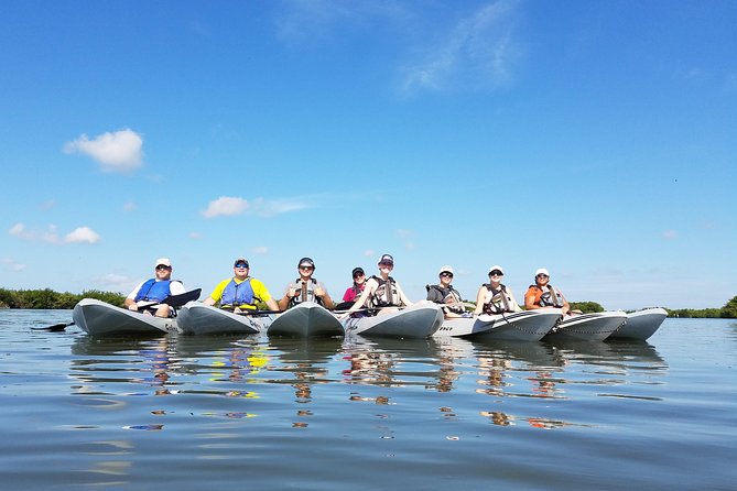 Mangrove Tunnels, Dolphins, Manatee Tour #1 Rated in Cocoa Beach - Why the mangrove tunnels around Cocoa Beach feel special