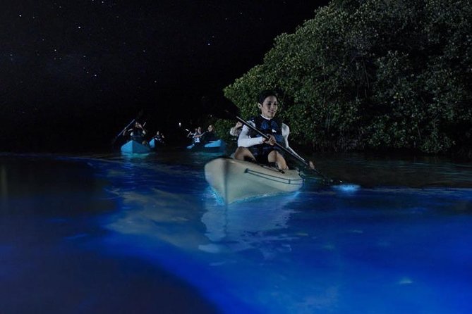 Mangrove Tunnels, Dolphins, Manatee Tour #1 Rated in Cocoa Beach - Is it worth $59? A practical value check