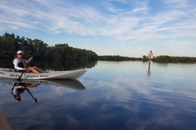 Mangrove Tunnels, Dolphins, Manatee Tour #1 Rated in Cocoa Beach - Should you book Mangrove Tunnels, Dolphins, Manatee Tour #1?