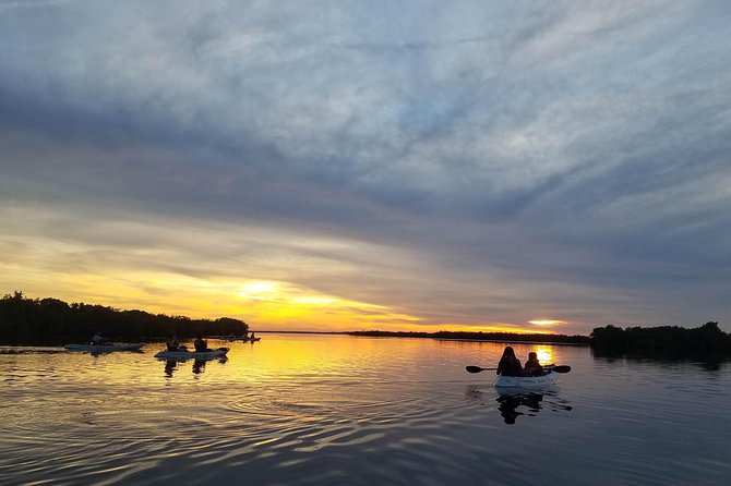 Mangrove Tunnels, Dolphins, Manatee Tour #1 Rated in Cocoa Beach - Cocoa Beach kayaking for first-timers: skills and comfort
