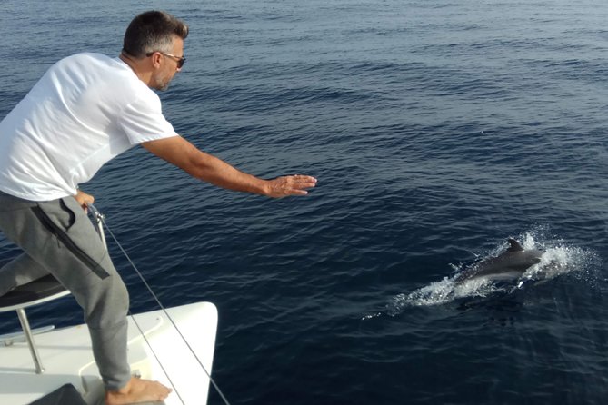 Marbella 3-hour Catamaran Group Excursion with Dolphin Watching - Puerto Banús Area Stop: Swim, SUP, Snorkel, and Fishing