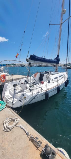 Marbella: Dolphin-Watching Sailboat Trip with Drinks, Snacks - Water Time Options: Paddle Surf, Fishing, Snorkel, and More