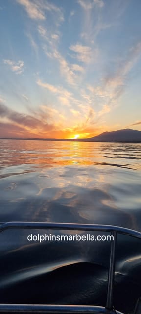 Marbella: Dolphin-Watching Sailboat Trip with Drinks, Snacks - Port Bajadilla Meeting: The Fast Way to Avoid a Missed Boat