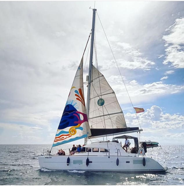 Marbella: Group Dolphin Watching Catamaran Tour with Snacks - Dolphin Spotting: What the Skipper Actually Tries to Do