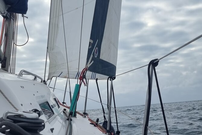 Marbella sailboat rental, dolphins, drinks and snacks - 2 hours - What happens on the water: dolphins, swimming, snorkeling, and paddle surfing