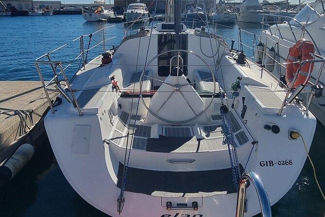 Marbella sailboat rental, dolphins, drinks and snacks - 2 hours - Price and value: $78.10 for dolphins plus included food and water activities