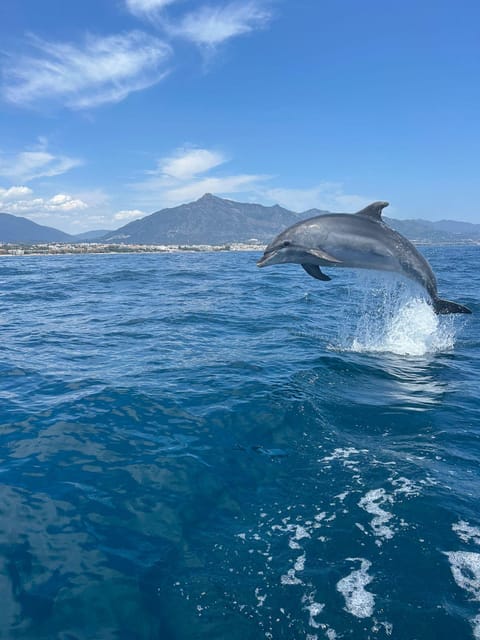 Marbella: Sailing & Dolphin Watching with Snacks and Drinks - The 2-Hour to 2.5-Hour Cruise Plan (And How Dolphins Fit In)
