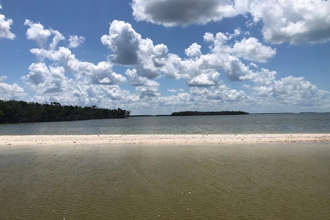Marco Island 2 hour Dolphin, Birding and Shelling tour - Ten Thousand Islands in Two Hours: The Big Idea