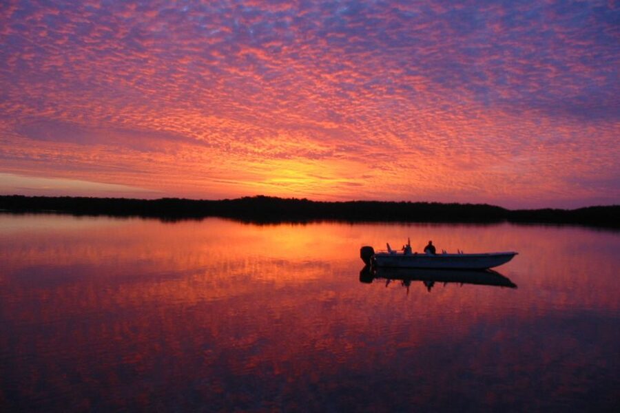 Marco Island: 2-Hour Dolphin, Birding, and Shelling Tour - Who This Tour Fits Best
