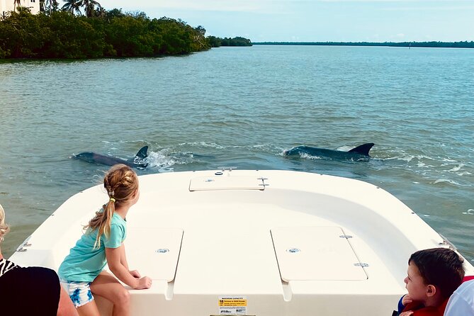 Marco Island and 10,000 Islands Sightseeing with Dolphin Tour - Key highlights (quick scan)