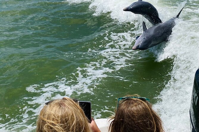 Marco Island and 10,000 Islands Sightseeing with Dolphin Tour - Shell-collecting and photo stops: the little moments that stick