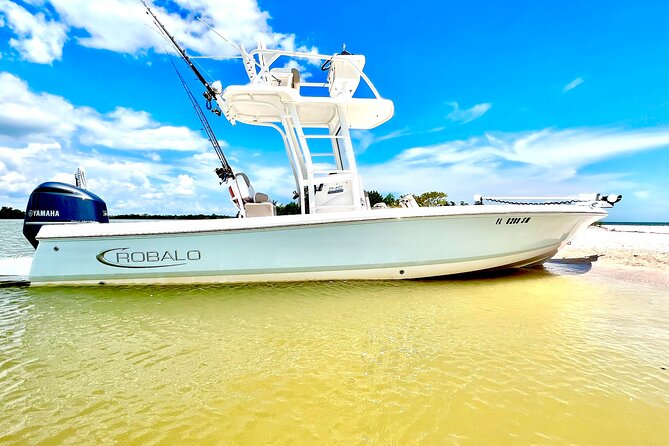 Marco Island Dolphin & Eco Tour – Private 2 Hour Wildlife Cruise - Marco Island Dolphin & Eco Tour: Quick reasons to book