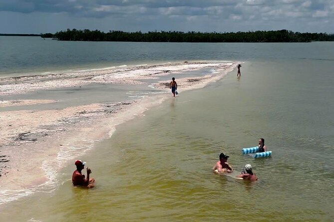 Marco Island Dolphin & Eco Tour – Private 2 Hour Wildlife Cruise - Timing, weather, and the one thing to keep in mind
