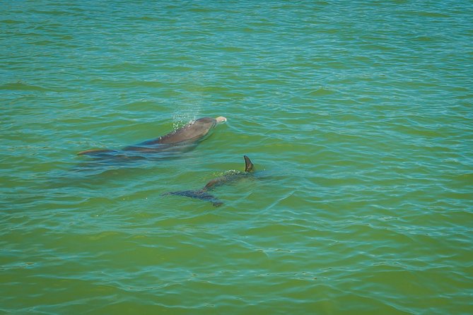 Marco Island Dolphin Sightseeing Tour - Entering the Ten Thousand Islands maze from Goodland Boating Park