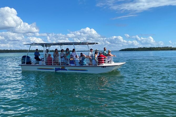 Marco Island Dolphin Sightseeing Tour - Guides and captains: small group tours work when the crew reads the water
