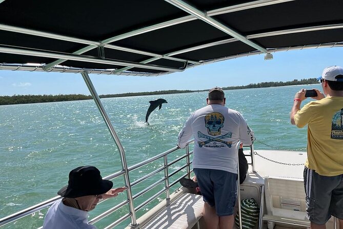 Marco Island Dolphin Sightseeing Tour - What you’ll likely see: wake play, close-up moments, and more than dolphins