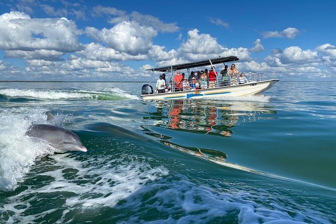 Marco Island Dolphin Sightseeing Tour - Timing and arrival: how to avoid the typical boat-day scramble