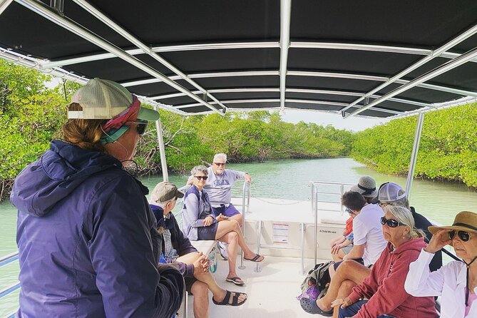 Marco Island Dolphin Sightseeing Tour - Weather reality: what good planning looks like in coastal Florida