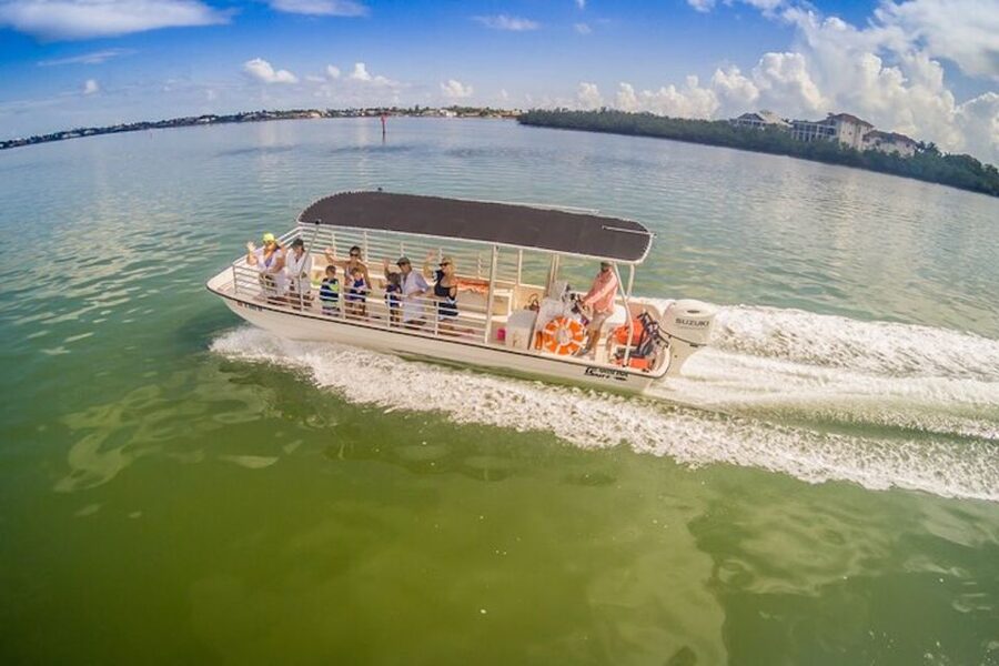 Marco Island: Dolphin-Watching Boat Tour - Quick hits before you go