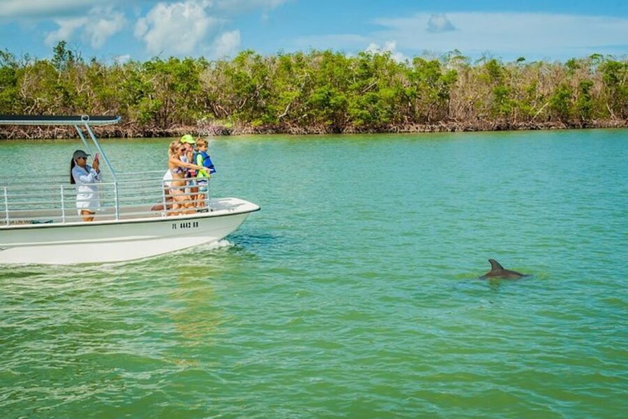 Marco Island: Dolphin-Watching Boat Tour - Who this tour is best for