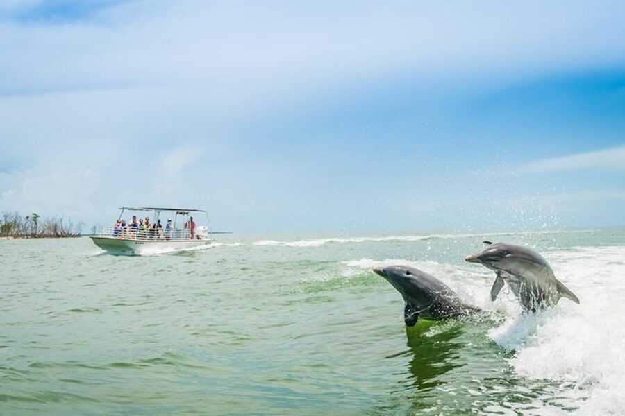 Marco Island: Dolphin-Watching Boat Tour - Dolphins are the main act, and the guarantee changes the odds