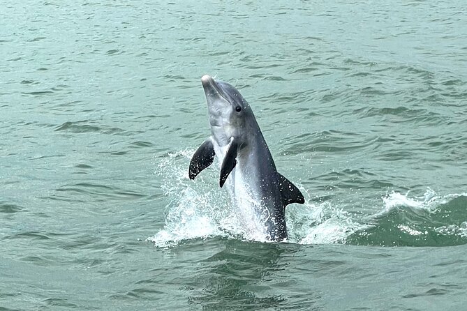 Marco Island Dolphin Watching & Tubing Adventure - Tubing in calm, shallow water: the part families remember