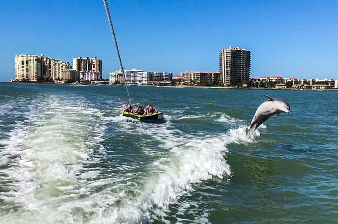 Marco Island Dolphin Watching & Tubing Adventure - Price and value: $575 per private group, up to 6