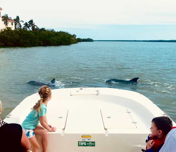 Marco Island: Private Shelling & Dolphin Excursion - Key Points Worth Knowing
