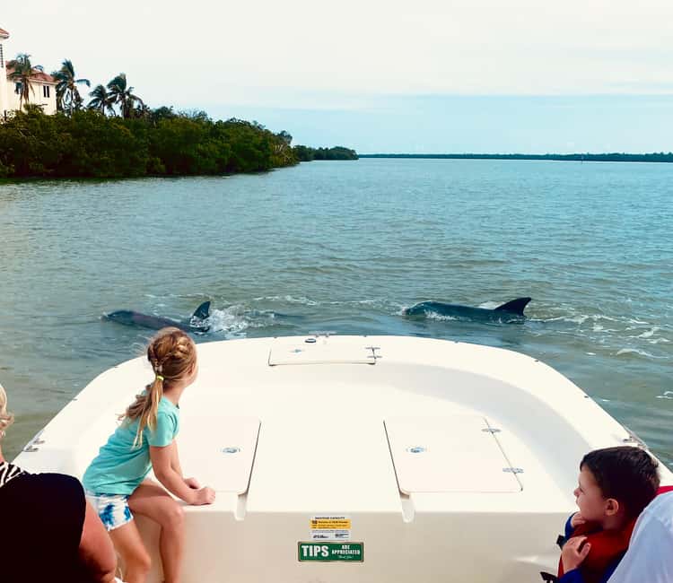 Marco Island: Private Shelling & Dolphin Excursion - Entering the 10,000 Islands on a Private Boat (Not a Floating Crowd)