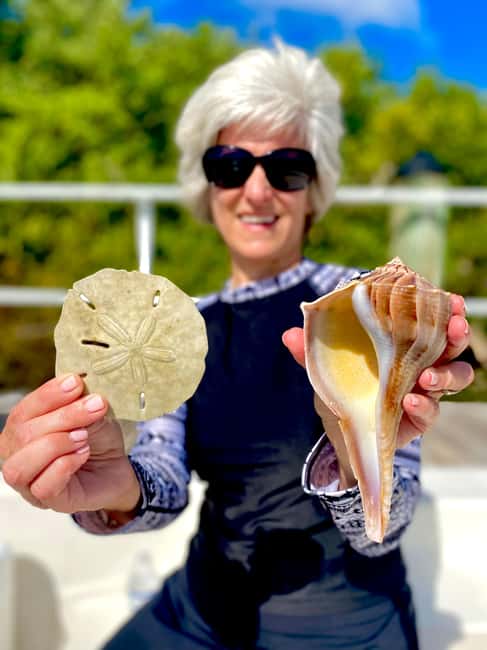 Marco Island: Private Shelling & Dolphin Excursion - Price and Value: Is $475 for Up to 6 Worth It?