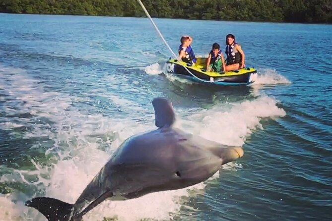 Marco Island Private Tubing, Dolphin Watching and Shelling Tour - Quick hits before you go