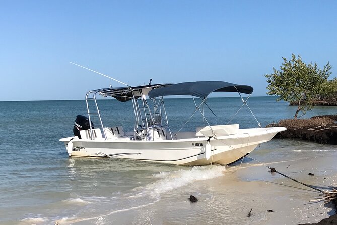Marco Island Private Tubing, Dolphin Watching and Shelling Tour - Price and Value: Is $695 Worth It for a Private Day?