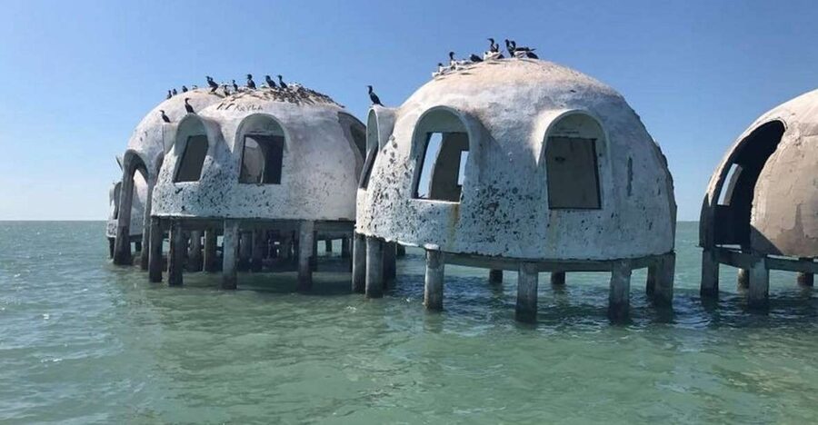 Marco Island: Ten Thousand Islands Shelling & Dolphin Tour - The wildlife cruise: dolphins, manatees, turtles, and the bird parade