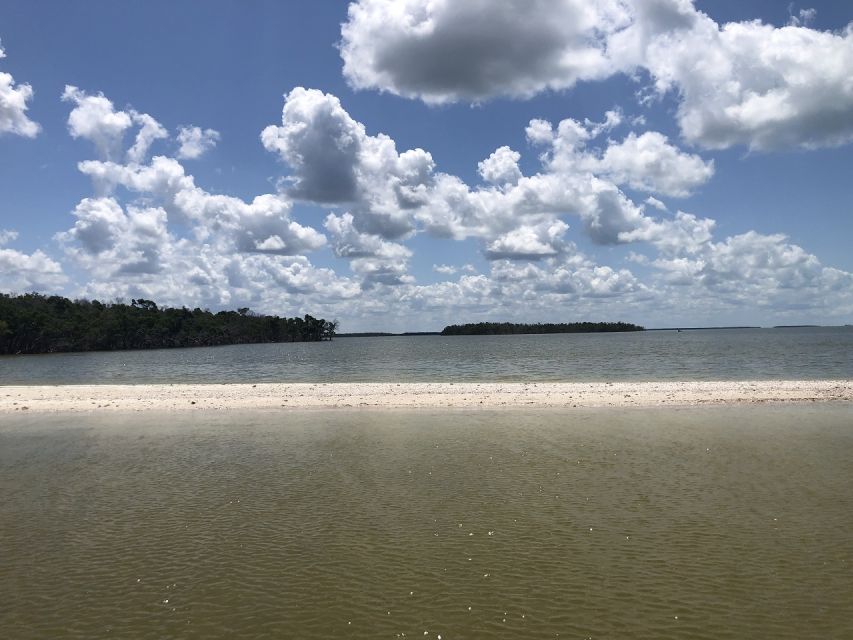 Marco Island: Ten Thousand Islands Shelling & Dolphin Tour - What wildlife you can realistically expect to see