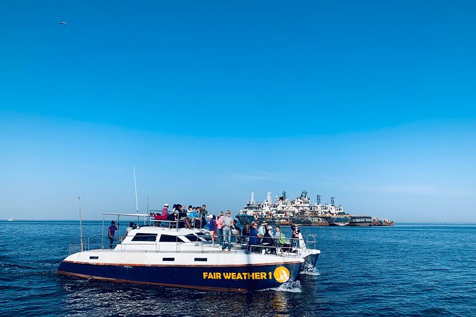 Marine Dolphin Seal Cruise - Price and value at $74.99: what you really get for the money