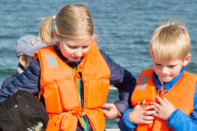 Marine Dolphin Seal Cruise - Who should book this cruise (and who might want a different plan)