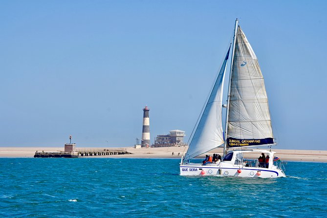 Marine Dolphin Seal Cruise - From Walvis Bay Waterfront to Pelican Point: what you’ll pass and why it matters
